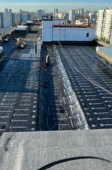 мягкая кровля, мягкая кровля цена, купить мягкую кровлю, мягкая кровля технониколь, ремонт мягкой кровли, мягкая кровля крыши, монтаж мягкой кровли, работа мягкая кровля, кровля мягкая черепица, устройство мягкой кровли, кровля, мягкая кровля, плоская кровля, кровля цена, кровля крыши, кровля купить, ремонт крыши, кровля москва, мягкая кровля москва, ремонт крыши москва, кровля работы москва, кровля санкт петербург, мягкая кровля санкт петербург, работа кровля санкт петербург, мягкая кровля москва цены, ремонт крыши москва цена, ремонт крыши москва стоимость, ремонт крыши москва смета, капитальный ремонт крыши москва, капитальный ремонт крыши санкт петербург, частичный ремонт крыши москва, локальный ремонт крыши санкт петербург, компания ремонт кровли с сро, капитальный ремонт кровли сро, технониколь купить, ремонт мягкой кровли спеканием, спекание кровли оборудование, ремонт кровли методом спекания