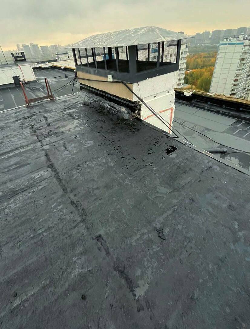 мягкая кровля, мягкая кровля цена, купить мягкую кровлю, мягкая кровля технониколь, ремонт мягкой кровли, мягкая кровля крыши, монтаж мягкой кровли, работа мягкая кровля, кровля мягкая черепица, устройство мягкой кровли, кровля, мягкая кровля, плоская кровля, кровля цена, кровля крыши, кровля купить, ремонт крыши, кровля москва, мягкая кровля москва, ремонт крыши москва, кровля работы москва, кровля санкт петербург, мягкая кровля санкт петербург, работа кровля санкт петербург, мягкая кровля москва цены, ремонт крыши москва цена, ремонт крыши москва стоимость, ремонт крыши москва смета, капитальный ремонт крыши москва, капитальный ремонт крыши санкт петербург, частичный ремонт крыши москва, локальный ремонт крыши санкт петербург, компания ремонт кровли с сро, капитальный ремонт кровли сро, технониколь купить, ремонт мягкой кровли спеканием, спекание кровли оборудование, ремонт кровли методом спекания