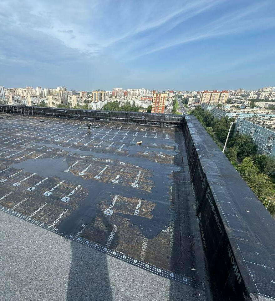 мягкая кровля, мягкая кровля цена, купить мягкую кровлю, мягкая кровля технониколь, ремонт мягкой кровли, мягкая кровля крыши, монтаж мягкой кровли, работа мягкая кровля, кровля мягкая черепица, устройство мягкой кровли, кровля, мягкая кровля, плоская кровля, кровля цена, кровля крыши, кровля купить, ремонт крыши, кровля москва, мягкая кровля москва, ремонт крыши москва, кровля работы москва, кровля санкт петербург, мягкая кровля санкт петербург, работа кровля санкт петербург, мягкая кровля москва цены, ремонт крыши москва цена, ремонт крыши москва стоимость, ремонт крыши москва смета, капитальный ремонт крыши москва, капитальный ремонт крыши санкт петербург, частичный ремонт крыши москва, локальный ремонт крыши санкт петербург, компания ремонт кровли с сро, капитальный ремонт кровли сро, технониколь купить, ремонт мягкой кровли спеканием, спекание кровли оборудование, ремонт кровли методом спекания