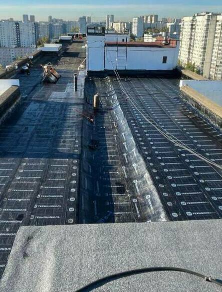 мягкая кровля, мягкая кровля цена, купить мягкую кровлю, мягкая кровля технониколь, ремонт мягкой кровли, мягкая кровля крыши, монтаж мягкой кровли, работа мягкая кровля, кровля мягкая черепица, устройство мягкой кровли, кровля, мягкая кровля, плоская кровля, кровля цена, кровля крыши, кровля купить, ремонт крыши, кровля москва, мягкая кровля москва, ремонт крыши москва, кровля работы москва, кровля санкт петербург, мягкая кровля санкт петербург, работа кровля санкт петербург, мягкая кровля москва цены, ремонт крыши москва цена, ремонт крыши москва стоимость, ремонт крыши москва смета, капитальный ремонт крыши москва, капитальный ремонт крыши санкт петербург, частичный ремонт крыши москва, локальный ремонт крыши санкт петербург, компания ремонт кровли с сро, капитальный ремонт кровли сро, технониколь купить, ремонт мягкой кровли спеканием, спекание кровли оборудование, ремонт кровли методом спекания