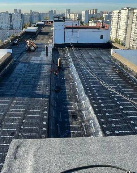 мягкая кровля, мягкая кровля цена, купить мягкую кровлю, мягкая кровля технониколь, ремонт мягкой кровли, мягкая кровля крыши, монтаж мягкой кровли, работа мягкая кровля, кровля мягкая черепица, устройство мягкой кровли, кровля, мягкая кровля, плоская кровля, кровля цена, кровля крыши, кровля купить, ремонт крыши, кровля москва, мягкая кровля москва, ремонт крыши москва, кровля работы москва, кровля санкт петербург, мягкая кровля санкт петербург, работа кровля санкт петербург, мягкая кровля москва цены, ремонт крыши москва цена, ремонт крыши москва стоимость, ремонт крыши москва смета, капитальный ремонт крыши москва, капитальный ремонт крыши санкт петербург, частичный ремонт крыши москва, локальный ремонт крыши санкт петербург, компания ремонт кровли с сро, капитальный ремонт кровли сро, технониколь купить, ремонт мягкой кровли спеканием, спекание кровли оборудование, ремонт кровли методом спекания