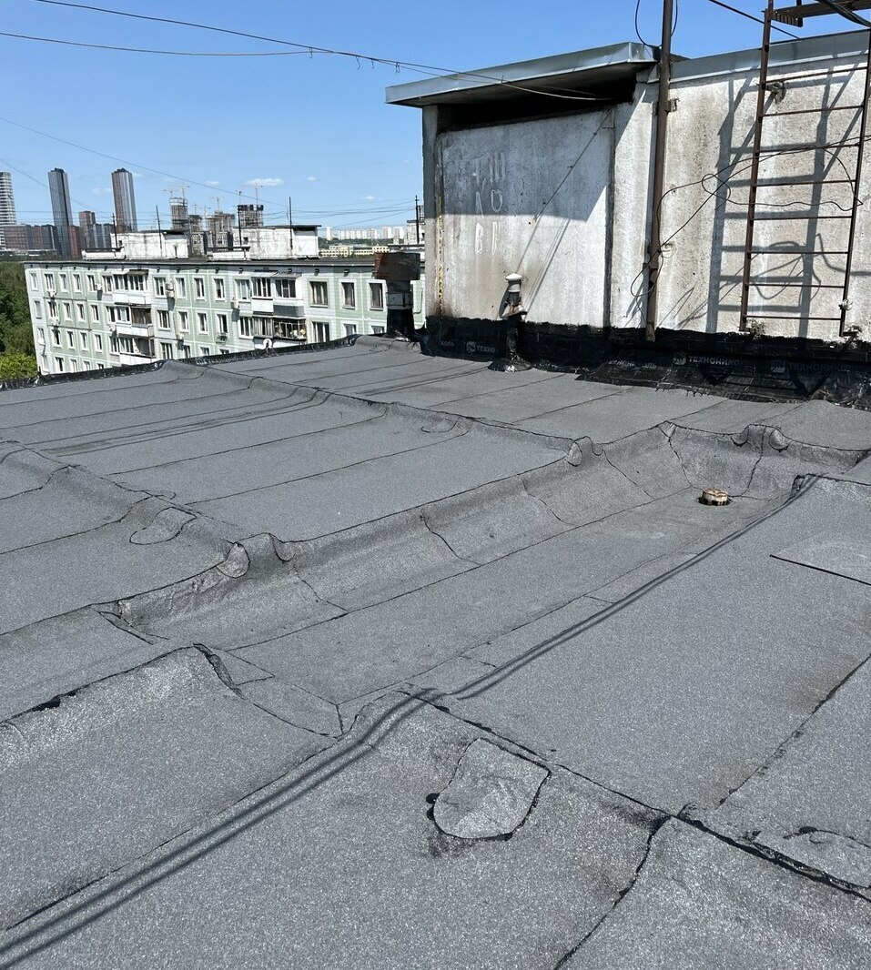 мягкая кровля, мягкая кровля цена, купить мягкую кровлю, мягкая кровля технониколь, ремонт мягкой кровли, мягкая кровля крыши, монтаж мягкой кровли, работа мягкая кровля, кровля мягкая черепица, устройство мягкой кровли, кровля, мягкая кровля, плоская кровля, кровля цена, кровля крыши, кровля купить, ремонт крыши, кровля москва, мягкая кровля москва, ремонт крыши москва, кровля работы москва, кровля санкт петербург, мягкая кровля санкт петербург, работа кровля санкт петербург, мягкая кровля москва цены, ремонт крыши москва цена, ремонт крыши москва стоимость, ремонт крыши москва смета, капитальный ремонт крыши москва, капитальный ремонт крыши санкт петербург, частичный ремонт крыши москва, локальный ремонт крыши санкт петербург, компания ремонт кровли с сро, капитальный ремонт кровли сро, технониколь купить, ремонт мягкой кровли спеканием, спекание кровли оборудование, ремонт кровли методом спекания