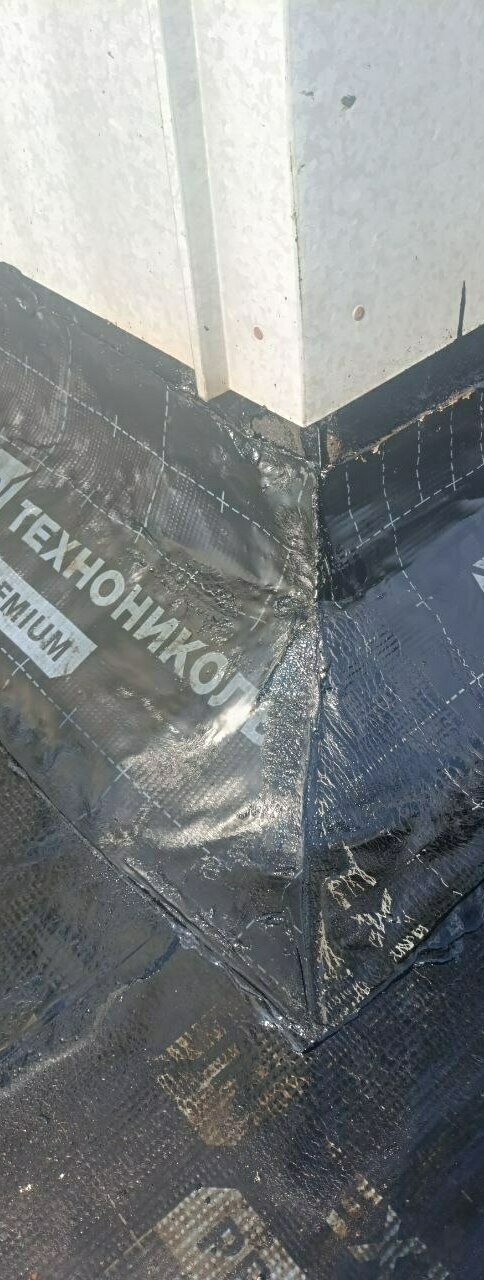 мягкая кровля, мягкая кровля цена, купить мягкую кровлю, мягкая кровля технониколь, ремонт мягкой кровли, мягкая кровля крыши, монтаж мягкой кровли, работа мягкая кровля, кровля мягкая черепица, устройство мягкой кровли, кровля, мягкая кровля, плоская кровля, кровля цена, кровля крыши, кровля купить, ремонт крыши, кровля москва, мягкая кровля москва, ремонт крыши москва, кровля работы москва, кровля санкт петербург, мягкая кровля санкт петербург, работа кровля санкт петербург, мягкая кровля москва цены, ремонт крыши москва цена, ремонт крыши москва стоимость, ремонт крыши москва смета, капитальный ремонт крыши москва, капитальный ремонт крыши санкт петербург, частичный ремонт крыши москва, локальный ремонт крыши санкт петербург, компания ремонт кровли с сро, капитальный ремонт кровли сро, технониколь купить, ремонт мягкой кровли спеканием, спекание кровли оборудование, ремонт кровли методом спекания