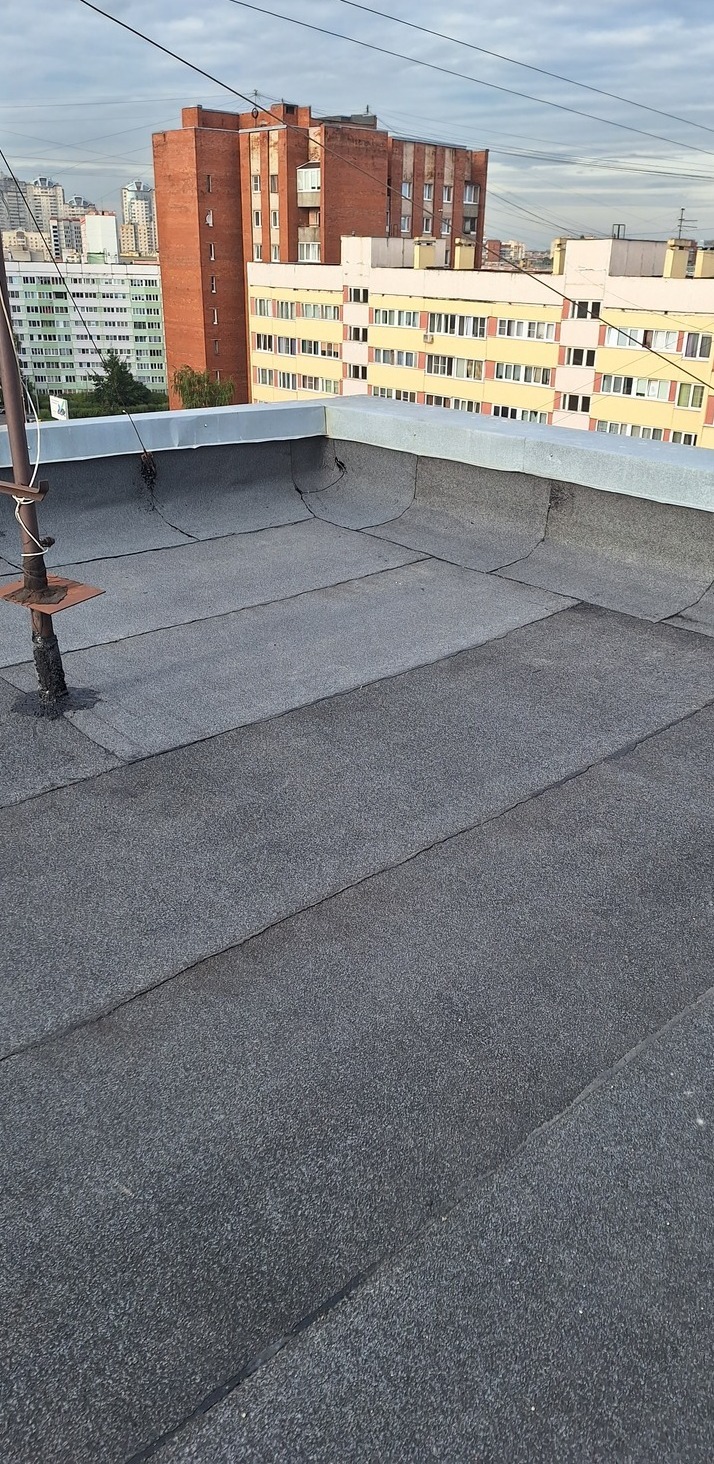 мягкая кровля, мягкая кровля цена, купить мягкую кровлю, мягкая кровля технониколь, ремонт мягкой кровли, мягкая кровля крыши, монтаж мягкой кровли, работа мягкая кровля, кровля мягкая черепица, устройство мягкой кровли, кровля, мягкая кровля, плоская кровля, кровля цена, кровля крыши, кровля купить, ремонт крыши, кровля москва, мягкая кровля москва, ремонт крыши москва, кровля работы москва, кровля санкт петербург, мягкая кровля санкт петербург, работа кровля санкт петербург, мягкая кровля москва цены, ремонт крыши москва цена, ремонт крыши москва стоимость, ремонт крыши москва смета, капитальный ремонт крыши москва, капитальный ремонт крыши санкт петербург, частичный ремонт крыши москва, локальный ремонт крыши санкт петербург, компания ремонт кровли с сро, капитальный ремонт кровли сро, технониколь купить, ремонт мягкой кровли спеканием, спекание кровли оборудование, ремонт кровли методом спекания